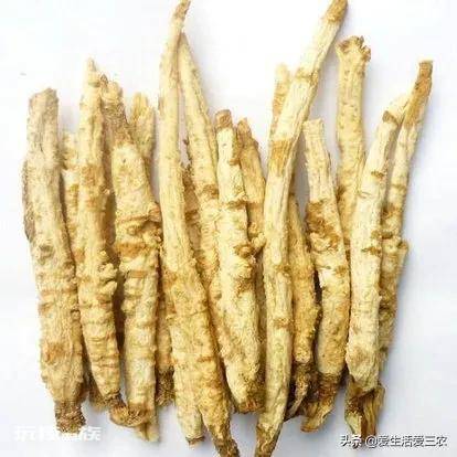 亩效益过万的一年生药材(农村种植什么药材项目更赚钱)-图片2